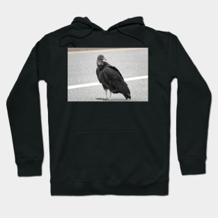 American black vulture Hoodie